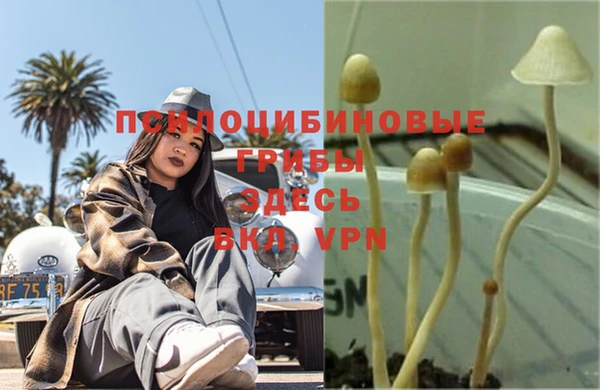 бошки Липки