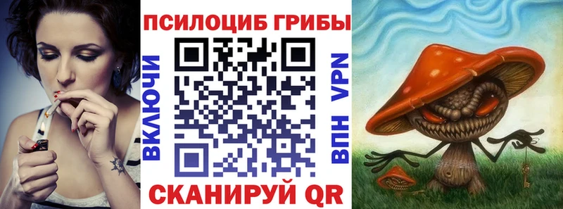 Купить где  Родники  Галлюциногенные грибы мицелий 