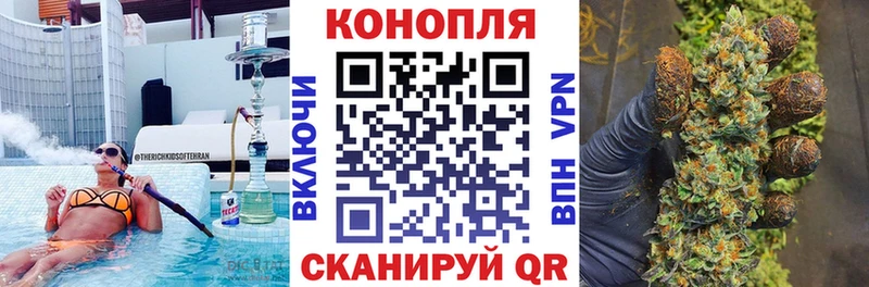 Купить  Родники  Канабис ГИДРОПОН 